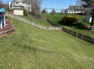 Georgette W.'s Lawn Mowing service result