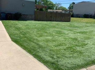 Demond W.'s Lawn Mowing service result