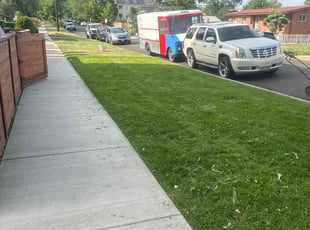 Back Forty A.'s Lawn Mowing service result