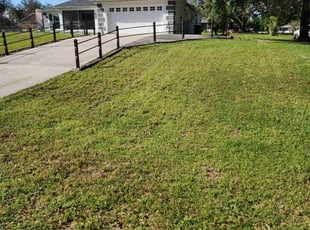 Cindi S.'s Lawn Mowing service result