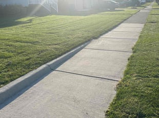 Henry L.'s Lawn Mowing service result