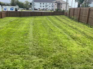 Steve A.'s Lawn Maintenance service result