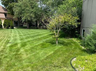 Ginger H.'s Lawn Service service result