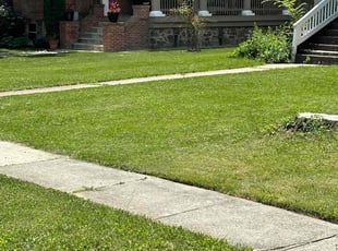Marci E.'s Lawn Mowing service result