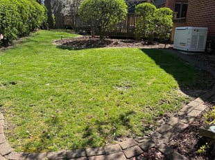 Sue I.'s Lawn Care service result