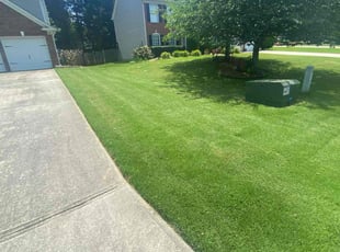 Rudy C.'s Lawn Care service result