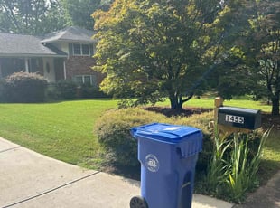 Emanuel J.'s Lawn Mowing Service service result