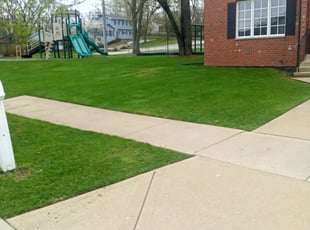 Emily C.'s Grass Cutting service result