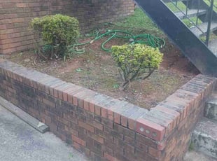 Weeding by Jazzmin Earl for April . in Decatur, GA