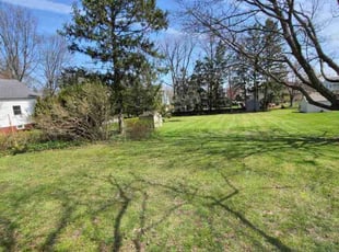 MICHAEL G.'s Lawn Mowing service result
