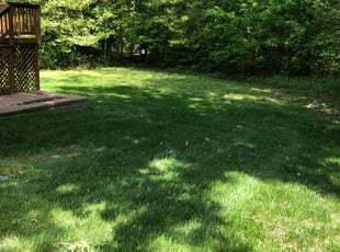 Barbara H.'s Lawn Maintenance service result
