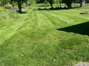 Rebecca K.'s Lawn Service service result