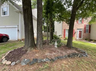 Leaf Removal by Justin Johnson for Odalis C. in Charlotte, NC