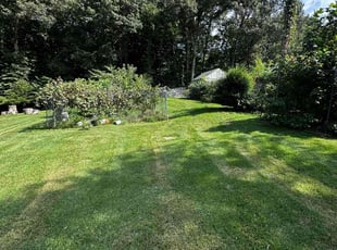 Huston M.'s Lawn Service service result
