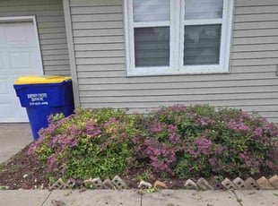Bush Trimming by Jermaine Ramsey for Kevin M. in North Liberty, IA