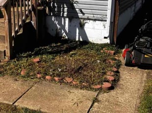 Weeding by Daniel Bunch for Logan A. in Columbus, OH