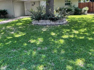 Lorene H.'s Lawn Care service result