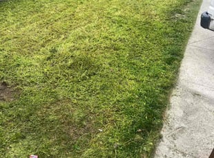 Cleanups by Eduardo Flores for David J. in Los Angeles, CA