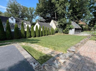 Vincent C.'s Lawn Mowing Service service result
