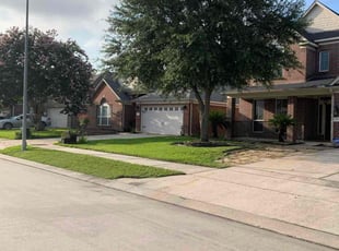 Tammy H.'s Lawn Mowing service result