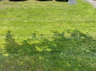 Cleanups by Chadmar Rouse for Christina B. in Rochester, NY