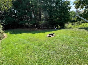 Amy F.'s Lawn Care service result