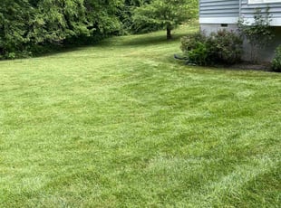Efrain T.'s Lawn Service service result