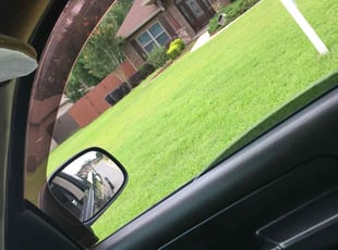 steve J.'s Yard Cutting service result