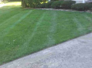 Jacob A.'s Lawn Care service result