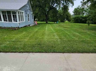 Linda L.'s Lawn Service service result