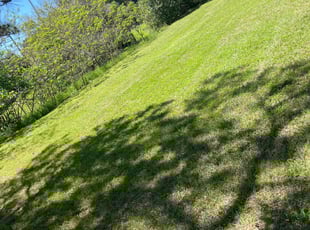 Jack F.'s Lawn Care service result