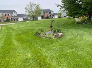 Lawrence S.'s Lawn Mowing service result