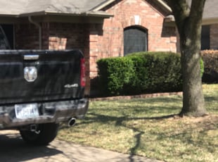Bush Trimming by Megan Unknown for Lance D. in Cedar Park, TX