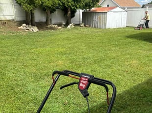 Michael Z.'s Lawn Care service result