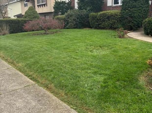 Melissa S.'s Lawn Mowing service result
