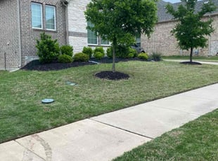Leta W.'s Lawn Mowing service result