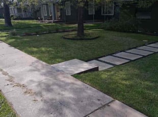 Suzanne Z.'s Lawn Mowing Service service result