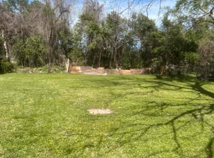Kathleen P.'s Lawn Service service result