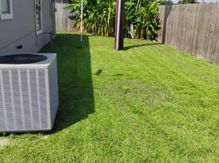 Joe Y.'s Lawn Care service result