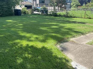 David H.'s Grass Cutting service result