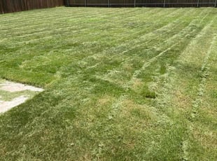 Laura L.'s Lawn Service service result