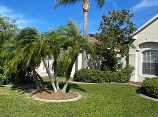 Tim H.'s Lawn Care service result