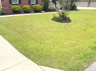 Ed S.'s Lawn Service service result