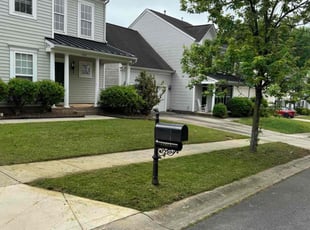 Robert P.'s Lawn Service service result