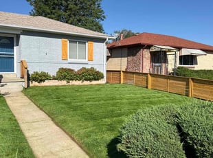 Lindsay S.'s Lawn Maintenance service result