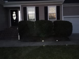 Bush Trimming by Thomas Crowell for Jahmica P. in Chester, VA