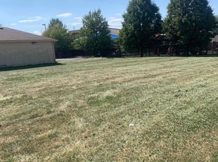 Carlito C.'s Lawn Mowing service result