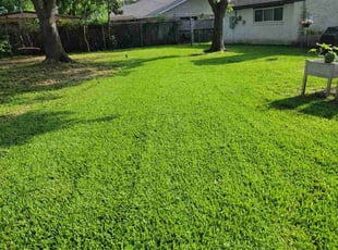 Michael D.'s Lawn Maintenance service result