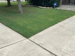 Brandon S.'s Grass Cutting service result