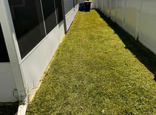 Brenda H.'s Lawn Mowing service result